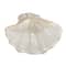 Hello Honey® 8" White Reactive Crackle Glaze Stoneware Shell Plates, 4ct.